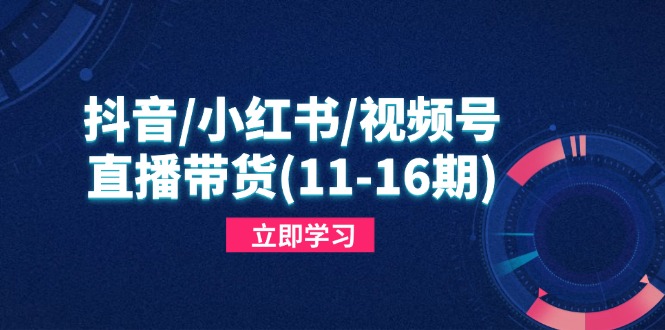 抖音/小红书/视频号/直播带货(11-16期-快赚