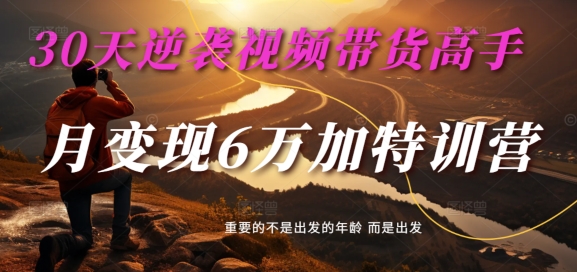 30天逆袭视频带货高手，单月变现6万加特训营-麦子甜-快赚