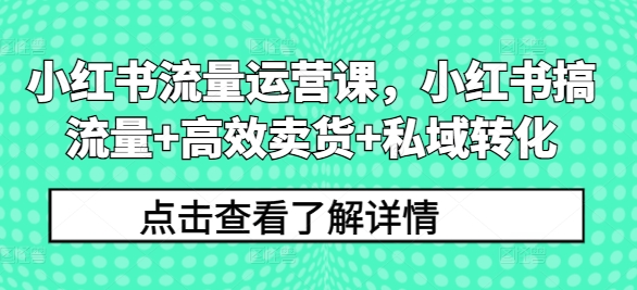 小红书流量运营课，小红书搞流量+高效卖货+私域转化-快赚