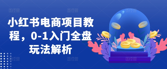 小红书电商项目教程，0-1入门全盘玩法解析-快赚
