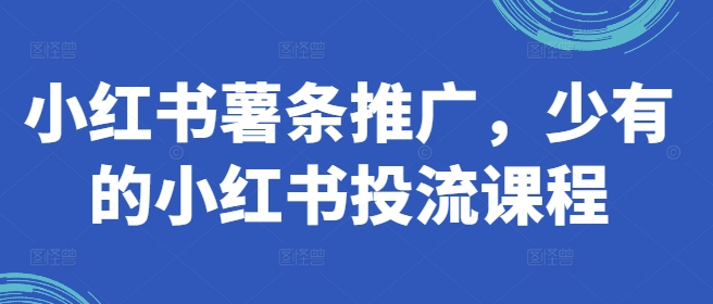 小红书薯条推广，少有的小红书投流课程-快赚