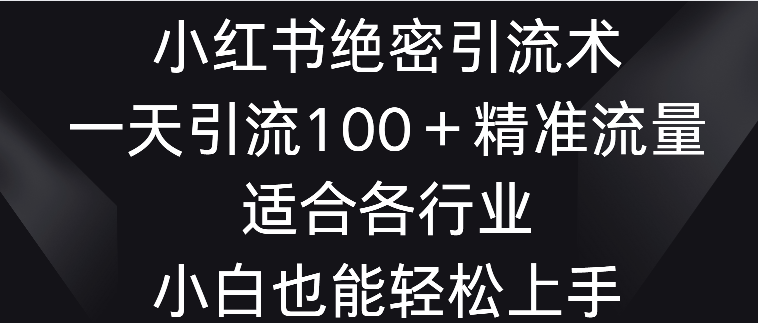 小红书绝密引流术，一天引流100＋精准流量，适合各个行业，小白也能轻松上手-快赚