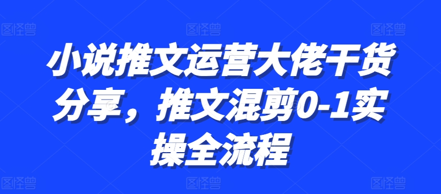 小说推文运营大佬干货分享，推文混剪0-1实操全流程-快赚