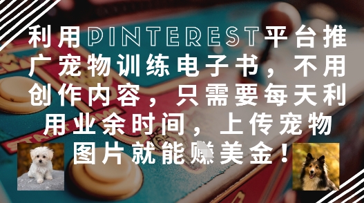 利用Pinterest平台推广宠物训练电子书，不用创作内容，只需要每天利用业余时间，上传宠物图片就能挣美金!-快赚