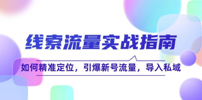 线 索 流 量-实战指南：如何精准定位，引爆新号流量，导入私域-快赚