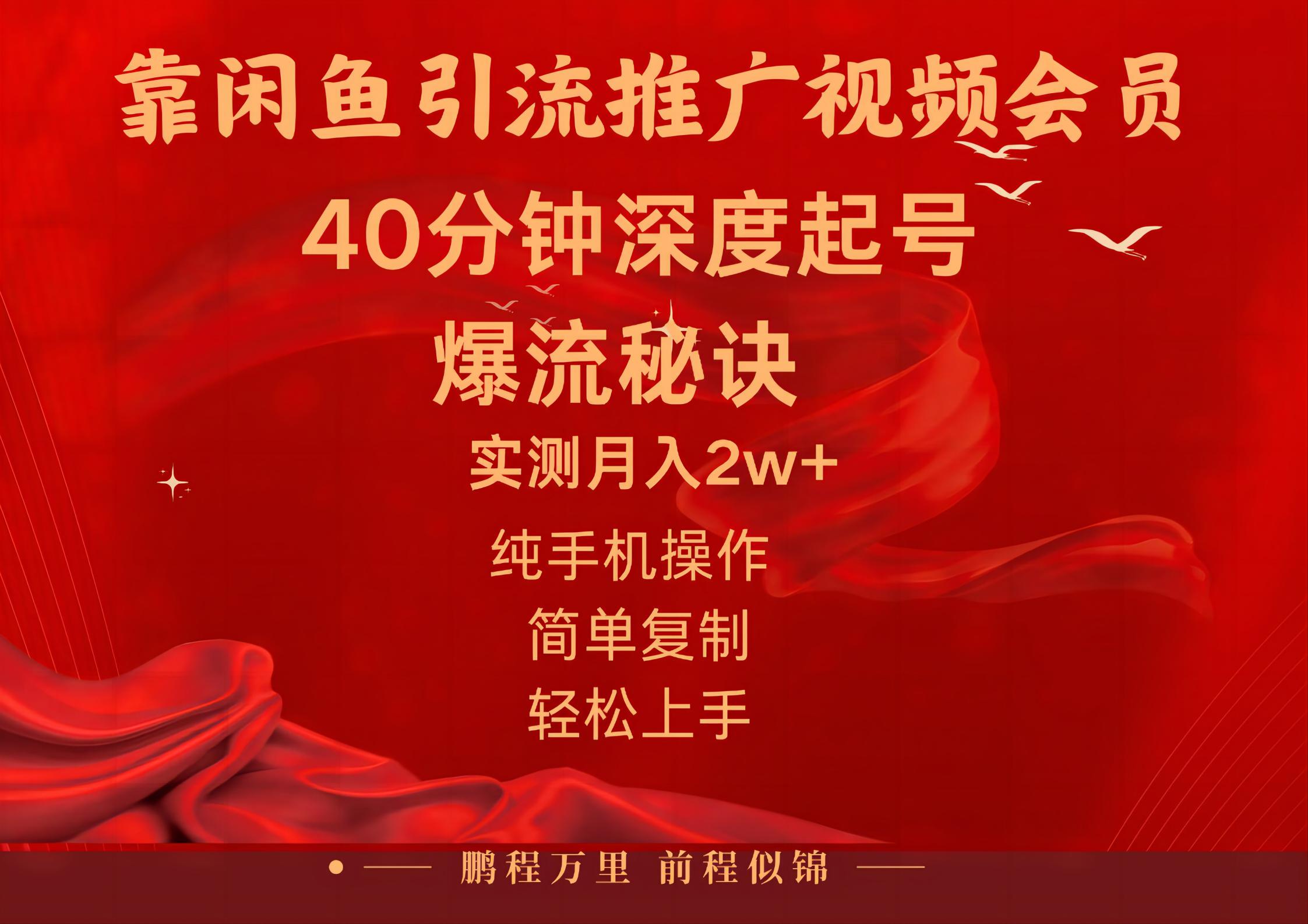 闲鱼暴力引流推广视频会员，能做到日入2W+，操作简单-快赚
