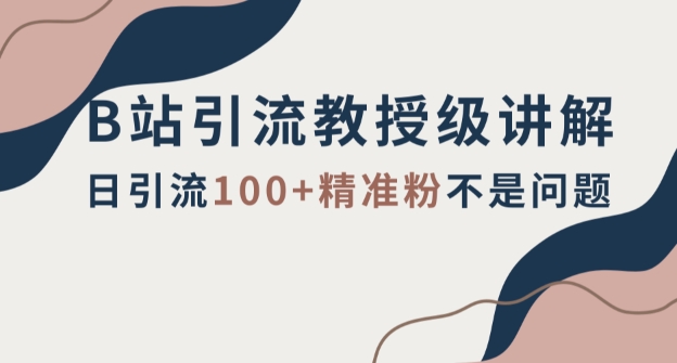B站引流教授级讲解，细节满满，日引流100+精准粉不是问题【揭秘】-快赚