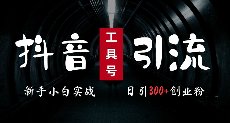 2024最新抖音工具号引流玩法，高效日引300+创业粉，当天变现5k，小白也可成为实战高手-快赚