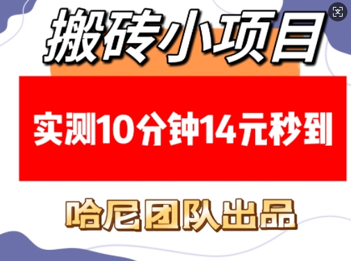 搬砖小项目，实测10分钟14元秒到，每天稳定几张(赠送必看稳定)-快赚
