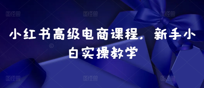 小红书高级电商课程，新手小白实操教学-快赚