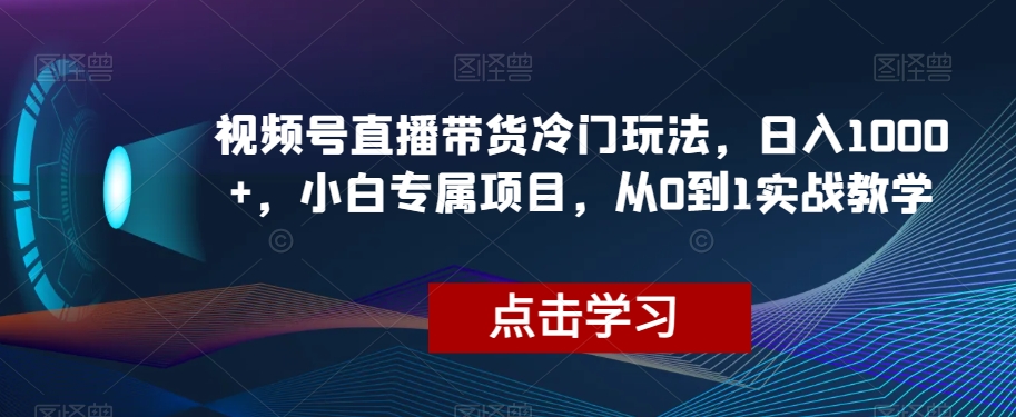 视频号直播带货冷门玩法，日入1000+，小白专属项目，从0到1实战教学【揭秘】-快赚