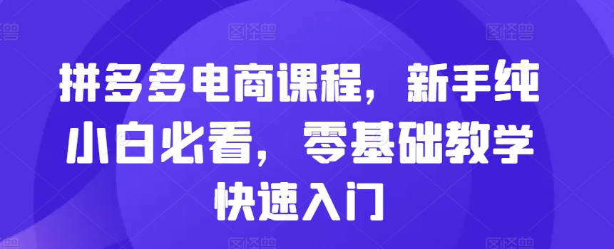 拼多多电商课程，新手纯小白必看，零基础教学快速入门-快赚
