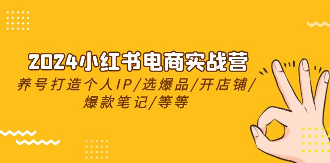 2024小红书电商实战营，养号打造IP/选爆品/开店铺/爆款笔记/等等(24节)-快赚