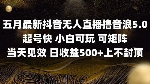 2025五月最新无人直播撸音浪单日产出5张+实操教程【揭秘】-快赚