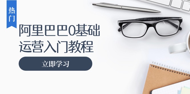 阿里巴巴运营零基础入门教程：涵盖开店、运营、推广，快速成为电商高手-快赚