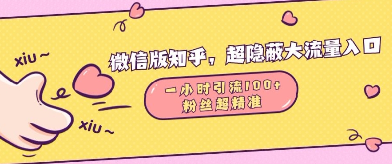 微信版知乎，超隐蔽流量入口1小时引流100人，粉丝质量超高【揭秘】-快赚