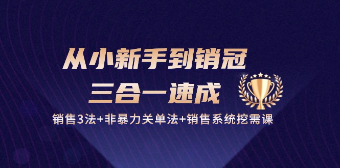 从小新手到销冠 三合一速成：销售3法+非暴力关单法+销售系统挖需课 (27节-快赚
