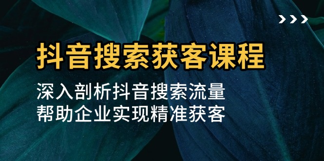 抖音搜索获客课程：深入剖析抖音搜索流量，帮助企业实现精准获客-快赚