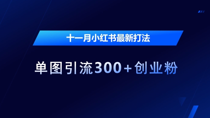 十一月小红书最新打法，单图引流300+创业粉【揭秘】-快赚