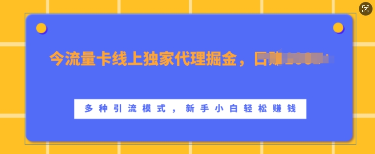 流量卡线上独家代理掘金，日入1k+ ，多种引流模式，新手小白轻松上手【揭秘】-快赚