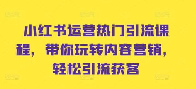 小红书运营热门引流课程，带你玩转内容营销，轻松引流获客-快赚