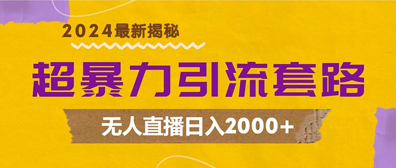 超暴力引流套路，无人直播日入2000+-快赚