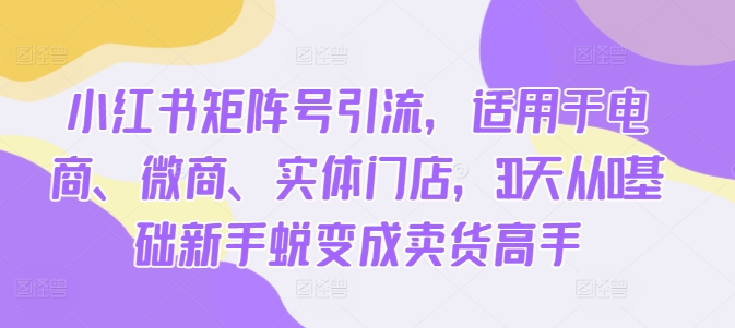 小红书矩阵号引流，适用于电商、微商、实体门店，30天从0基础新手蜕变成卖货高手-快赚
