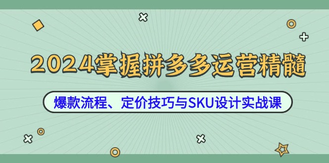 2024掌握拼多多运营精髓：爆款流程、定价技巧与SKU设计实战课-快赚