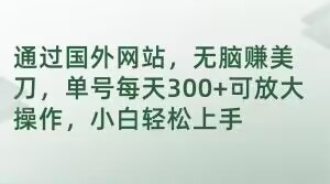 通过国外网站，无脑赚美刀，单号每天300+可放大操作，小白轻松上手【揭秘】-快赚