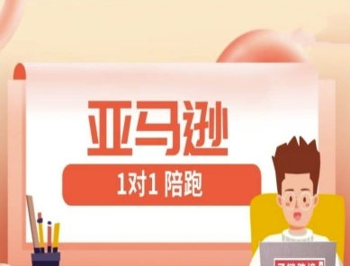 亚马逊1对1陪跑课(FBA/FBM精铺)跨境亚马逊教程-快赚