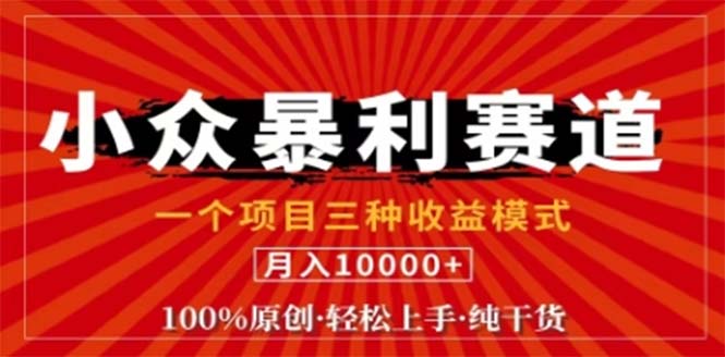 视频号最新爆火赛道，三种可收益模式，0粉新号条条原创条条热门 日入1000+-快赚