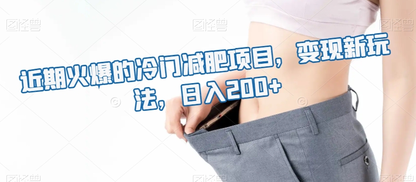 近期火爆的冷门减肥项目，变现新玩法，日入200+-快赚