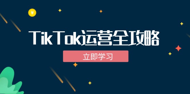 TikTok实战运营全攻略：从下载软件到变现，抖音海外版实操教程-快赚