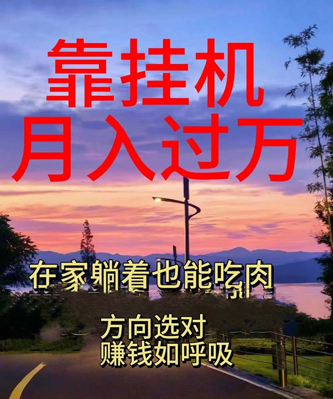 靠挂机，日入1000+，躺着也能吃肉，电脑手机都可挂-快赚